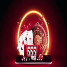 bingo4d login App bingo4d login App